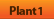 Plant 1